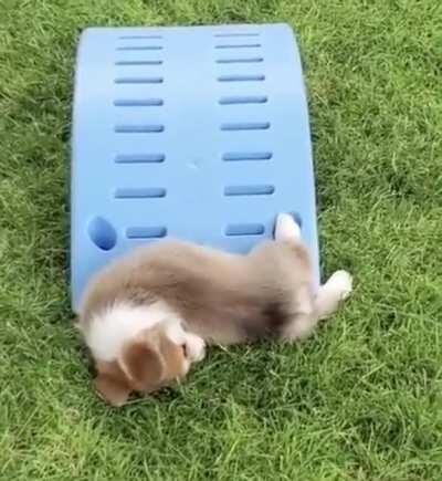 Hoje n&atilde;o e o seu dia