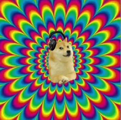 Do_doge are you okay? Where are you drifting away?