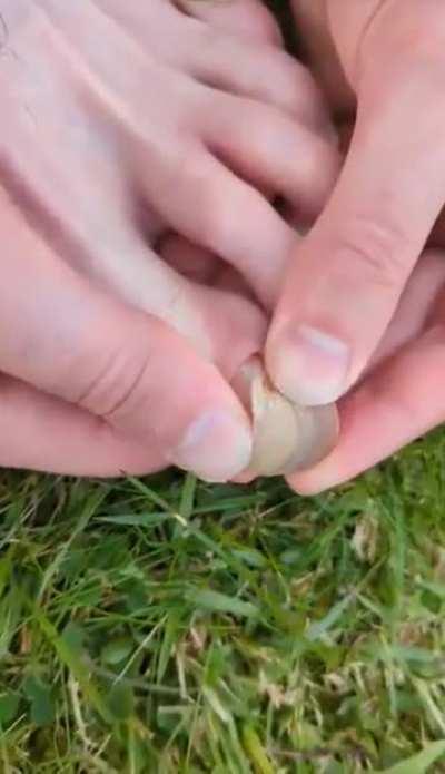 I don’t like how hard they had to pull.