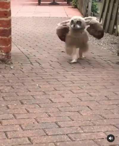 You guys… Watch what I can do!