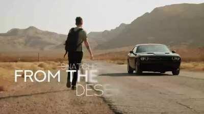 Daisy X Nikki Hearts