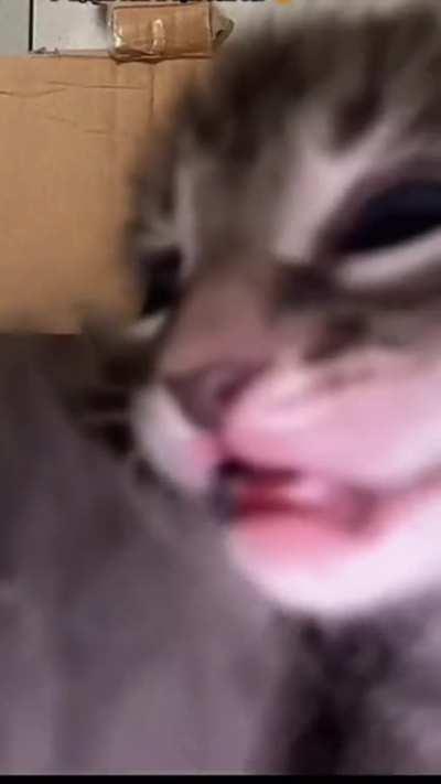 I have nowhere to post this