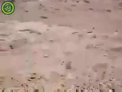 SUS DOG‼️‼️‼️‼️‼️‼️‼️😱😱😱😱😱😱😱😱😱😱😱😱