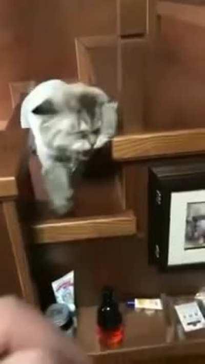 tell me what is this 