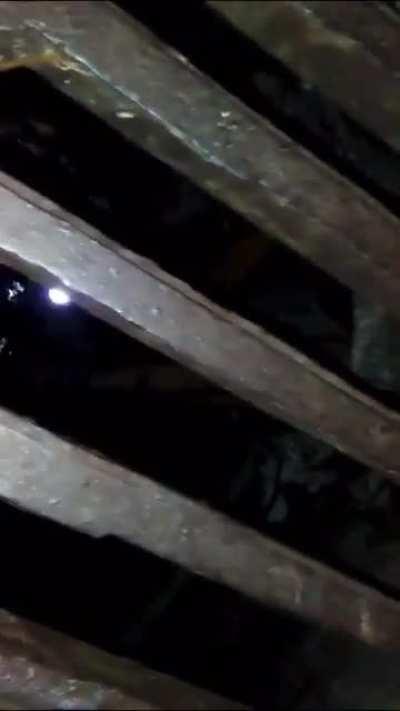 Taking a stroll in a sewer