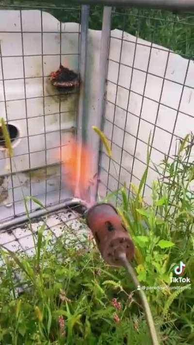 Hornets worst nightmare, the.. incenerator