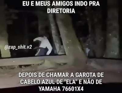 HUEstation - Video #7943