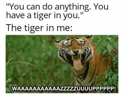 It's still a tiger though