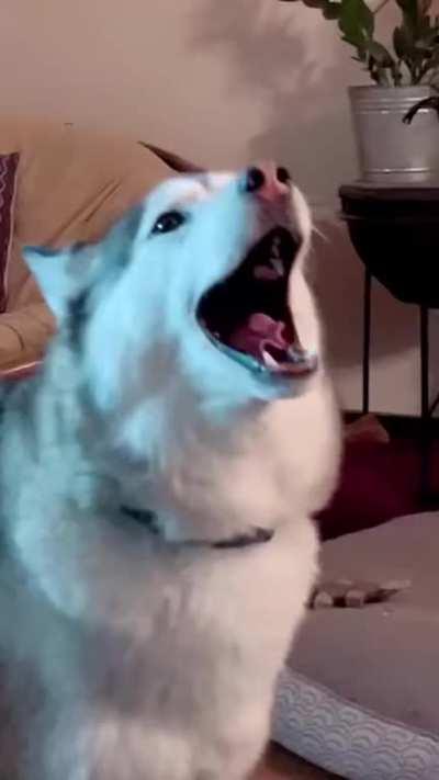 I think it's time for an exorcism...