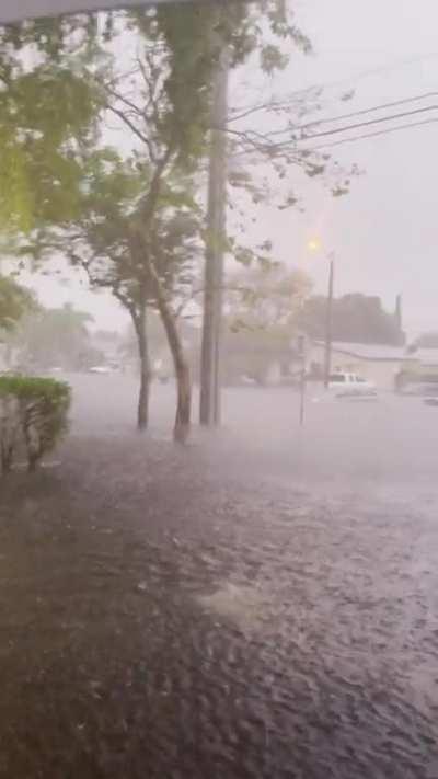 Broward flooding 4.12.23