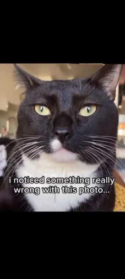 Flip you phone upside down