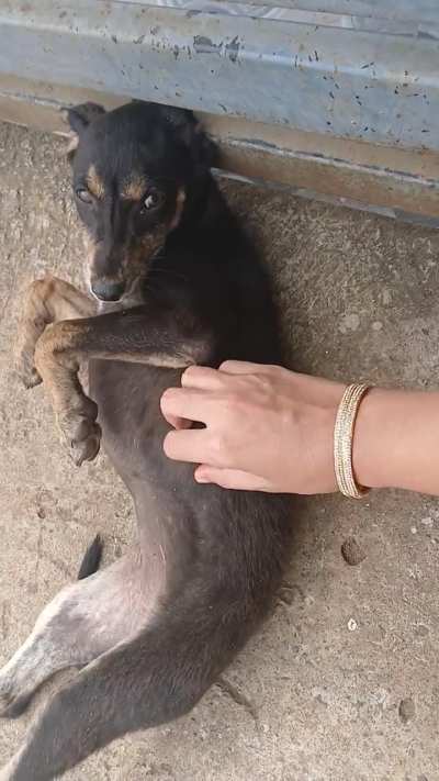 Ms.Bhairavi is here to wish everyone a bery bery happy diwali✨️🥰