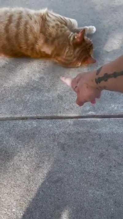 More of my friendly NMC, Mr Mars.