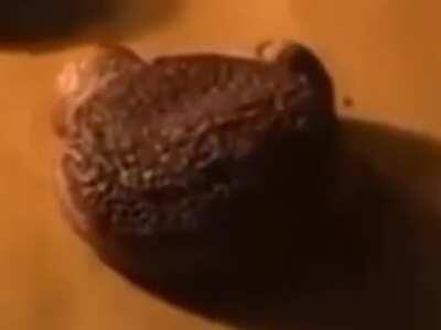 Forgive me father, for I have sinned (again)