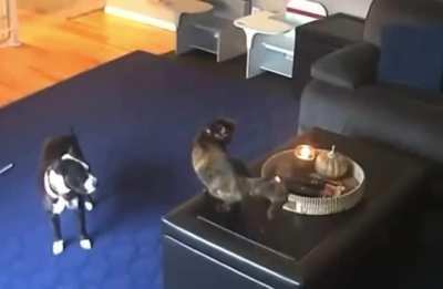 Blursed not giving AF