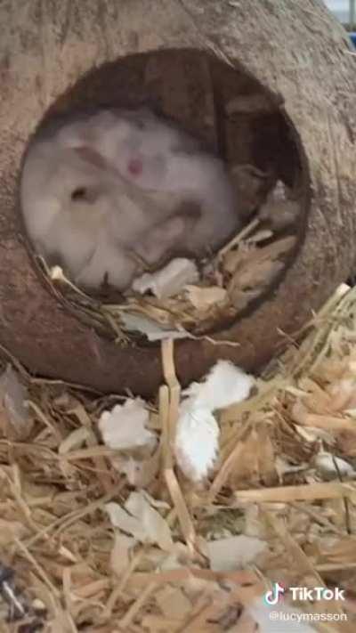 Just when you think it can’t get any cuter..