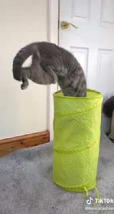 Calculating perfect velocity and angle