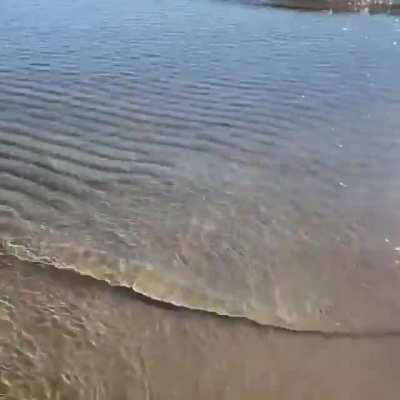 Water rippling over sand