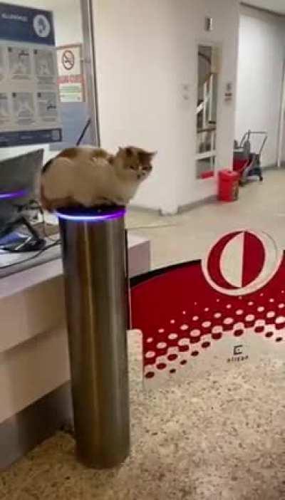 Security Guard in Istanbul