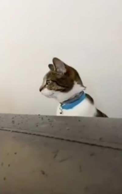 what da fuck dey doin ova there?