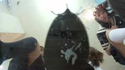 Rare Japanese video. It is incredible to me btw how torturing a little animal like this for 12 minutes straight is allowed by law.