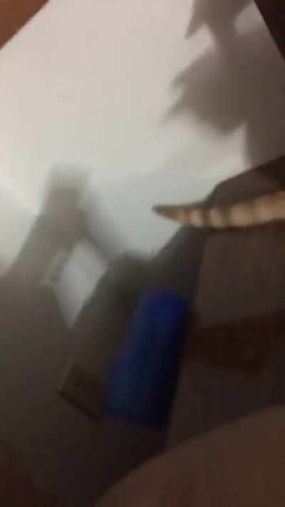 He’s sort of normal