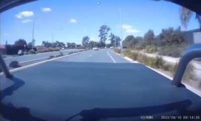 I'm reckless and a coward (wait for it) (not OC)