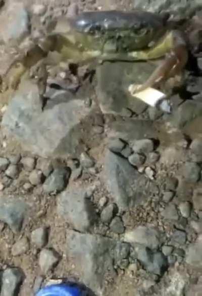 Нету, сам стреляю!