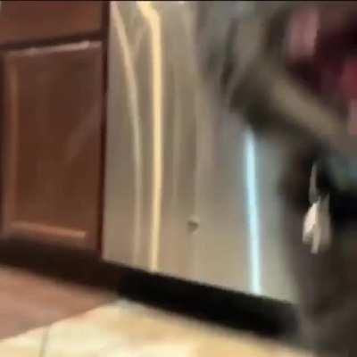 *inaudible screeching*