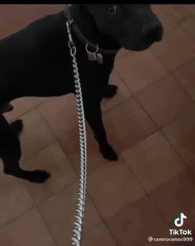 Pvto el q se mueva 😐