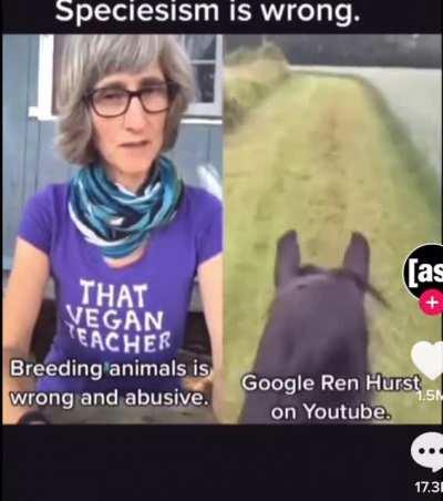 Blursed_Horse(Again)