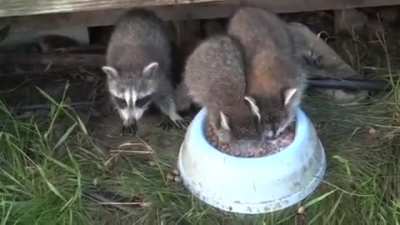 Ушел в запой