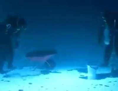 Upside down ice chilling