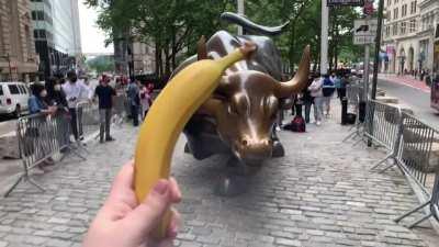 THIS IS THE BANANA VIDEO WE NEED!!! (SFW, VOLUME UP, TITS JACKED) 💎👐🍌🦍