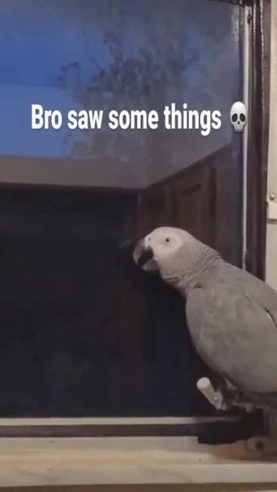 Bro saw some things💀