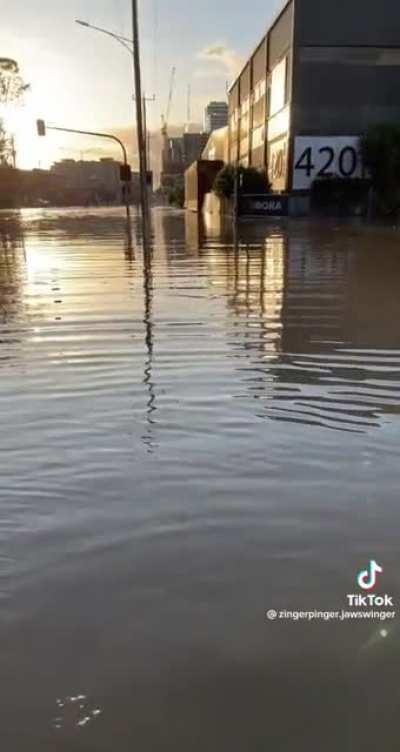 How would you guys rate this pedestrian crossing thock?