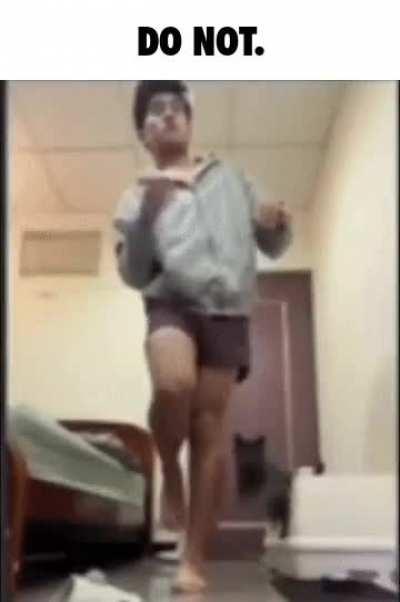 Omniscient Cat, Knows What You're Doing.