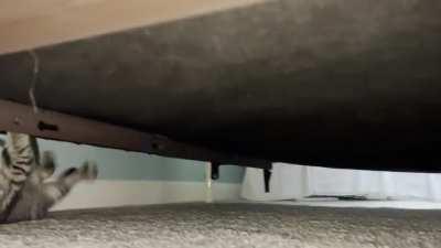 Help! The Greeble infestation is back!