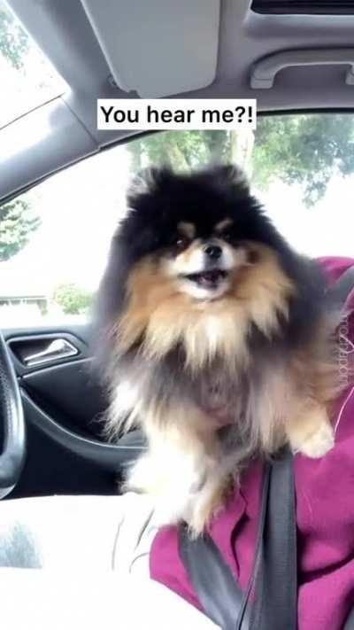 Help! She said the “B” word