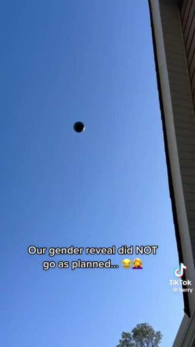 Gender reveals always run flawlessly