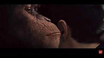 BUY MORE AND HOLD MF. Too the 🌝 🚀 🚀 🚀 🚀 💎 🙌🏿