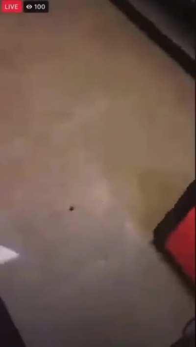 the AutoZone shooter. Tennessee