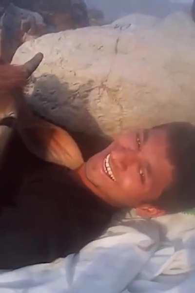 Cow finds a friend to cuddle with