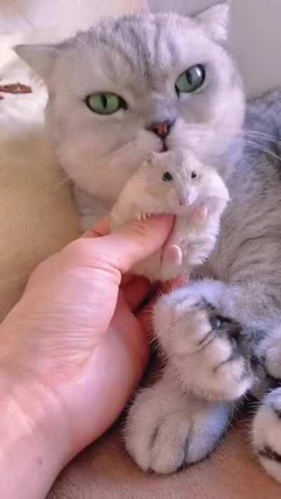 When his tongue got stuck, I was like, uh oh