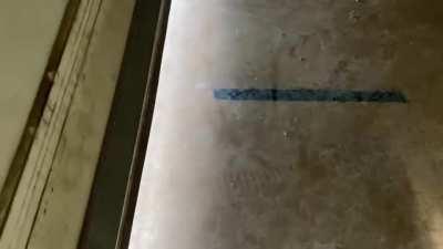 Shotgunyerlifeaway- Warsaw stevens and the raiders of the last beer.