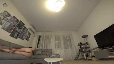 On the Couch, Girl in Leather Harness Lets Out Loud Farts