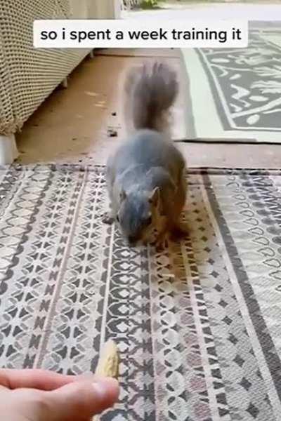 A Mother and Son Caring for a Squirrel