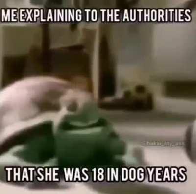 Yo explicándole a las autoridades que tenia 18 en años perrunos