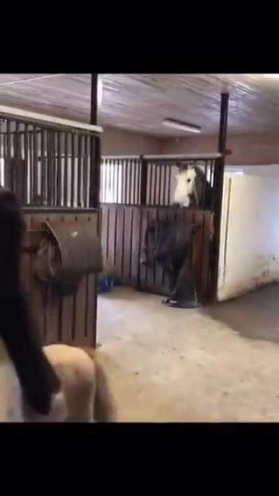 After squeeze goals.