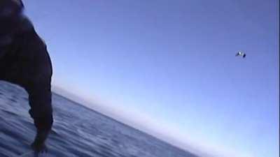 There, there. Nice water doggy.